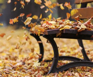 Banc d'automne