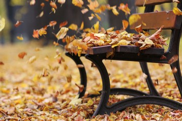 Banc d'automne