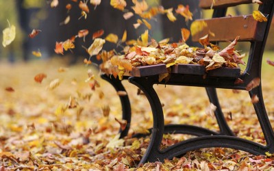 Banc d'automne