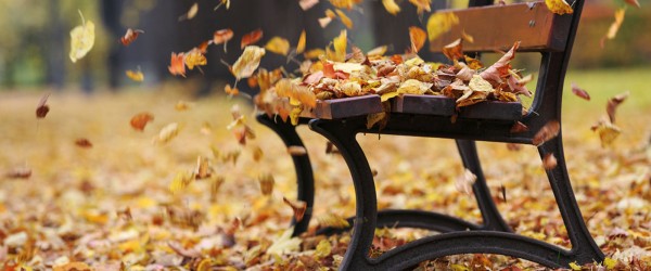 Banc d'automne